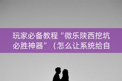 玩家必备教程“微乐陕西挖坑必胜神器”（怎么让系统给自己好牌)