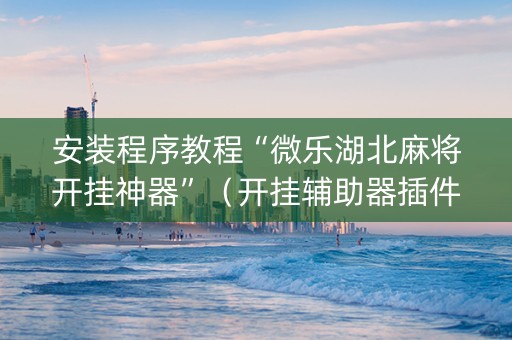 安装程序教程“微乐湖北麻将开挂神器”（开挂辅助器插件)