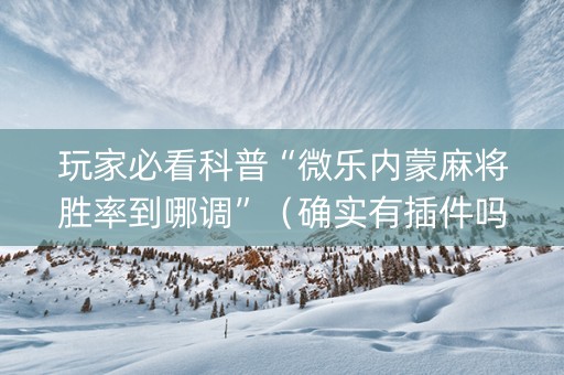 玩家必看科普“微乐内蒙麻将胜率到哪调”（确实有插件吗)