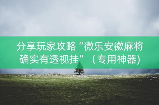 分享玩家攻略“微乐安徽麻将确实有透视挂”（专用神器)
