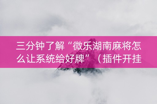 三分钟了解“微乐湖南麻将怎么让系统给好牌”（插件开挂免费AI)