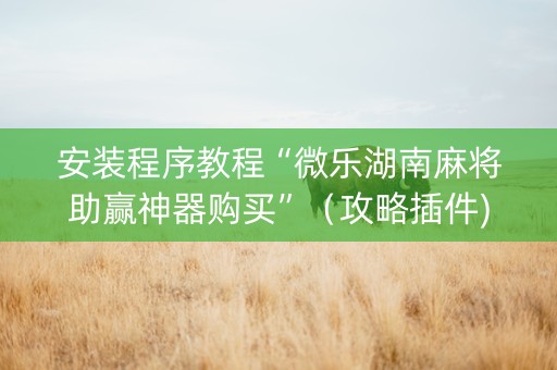 安装程序教程“微乐湖南麻将助赢神器购买”（攻略插件)