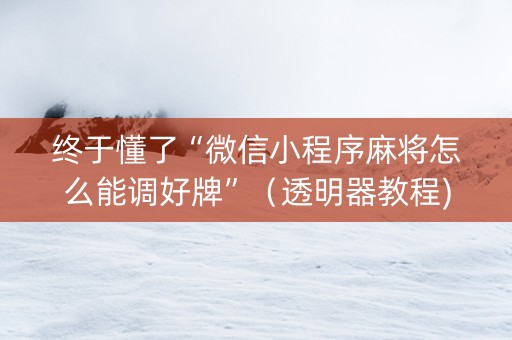 终于懂了“微信小程序麻将怎么能调好牌”（透明器教程)