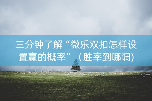 三分钟了解“微乐双扣怎样设置赢的概率”（胜率到哪调)