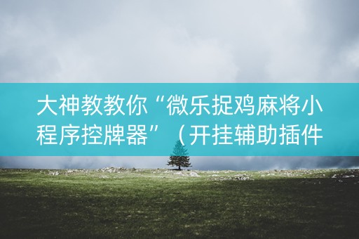 大神教教你“微乐捉鸡麻将小程序控牌器”（开挂辅助插件)