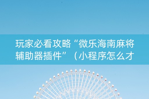 玩家必看攻略“微乐海南麻将辅助器插件”（小程序怎么才会赢)