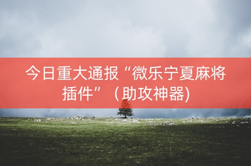 今日重大通报“微乐宁夏麻将插件”（助攻神器)