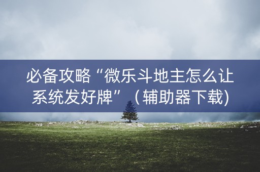必备攻略“微乐斗地主怎么让系统发好牌”（辅助器下载)