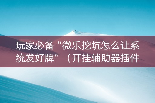 玩家必备“微乐挖坑怎么让系统发好牌”（开挂辅助器插件)