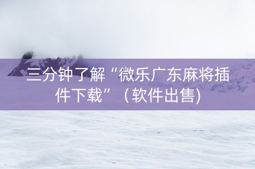 三分钟了解“微乐广东麻将插件下载”（软件出售)