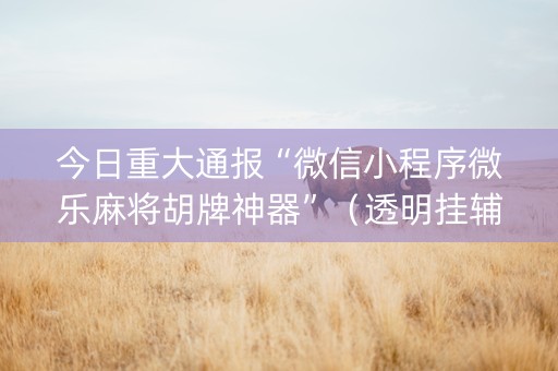 今日重大通报“微信小程序微乐麻将胡牌神器”（透明挂辅助器)