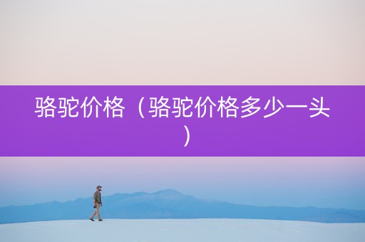 骆驼价格（骆驼价格多少一头）