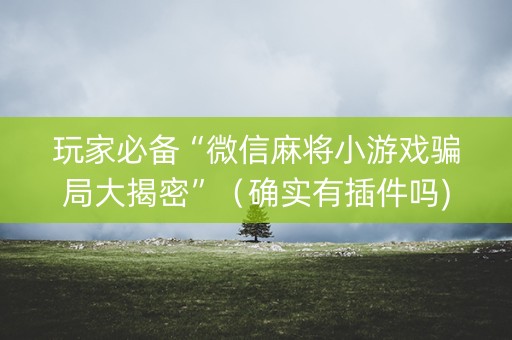 玩家必备“微信麻将小游戏骗局大揭密”（确实有插件吗)