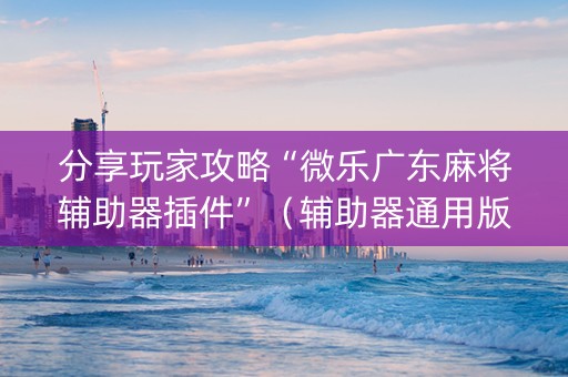 分享玩家攻略“微乐广东麻将辅助器插件”（辅助器通用版)