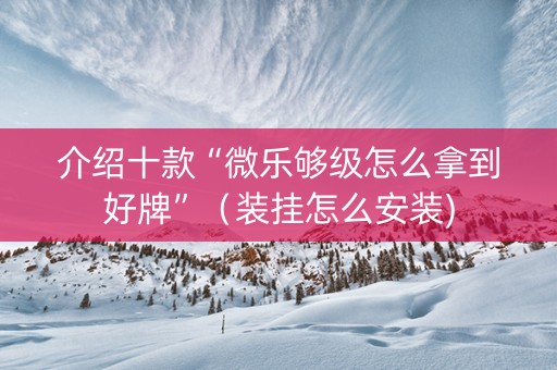 介绍十款“微乐够级怎么拿到好牌”（装挂怎么安装)