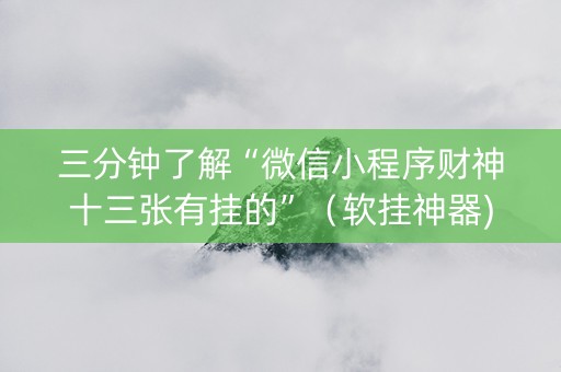 三分钟了解“微信小程序财神十三张有挂的”（软挂神器)