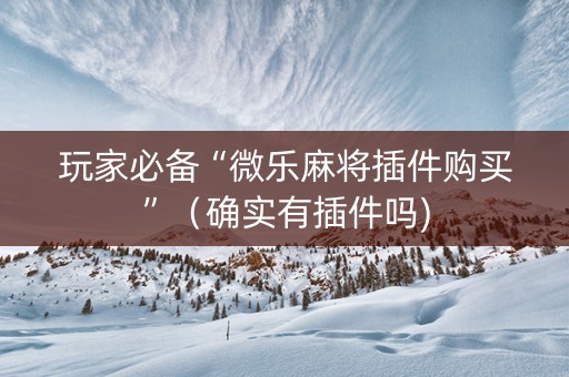 玩家必备“微乐麻将插件购买”（确实有插件吗)