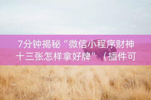 7分钟揭秘“微信小程序财神十三张怎样拿好牌”（插件可信吗)