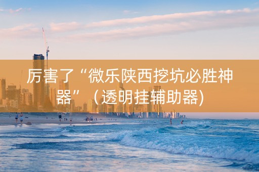 厉害了“微乐陕西挖坑必胜神器”（透明挂辅助器)