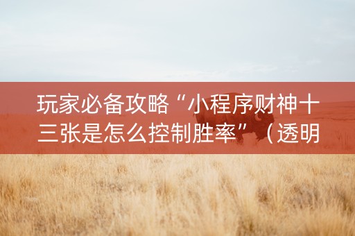 玩家必备攻略“小程序财神十三张是怎么控制胜率”（透明器教程)