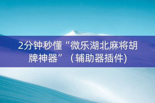 2分钟秒懂“微乐湖北麻将胡牌神器”（辅助器插件)