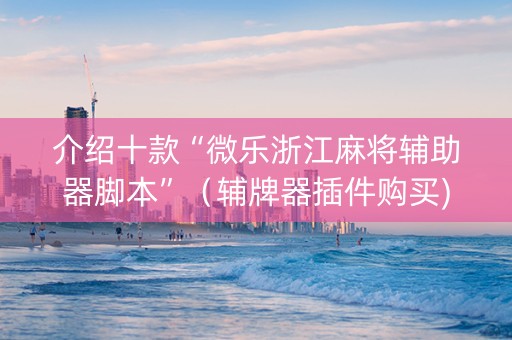 介绍十款“微乐浙江麻将辅助器脚本”（辅牌器插件购买)