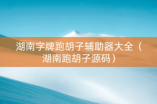 湖南字牌跑胡子辅助器大全（湖南跑胡子源码）