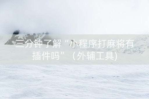 三分钟了解“小程序打麻将有插件吗”（外辅工具)