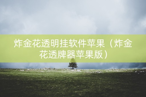 炸金花透明挂软件苹果（炸金花透牌器苹果版）
