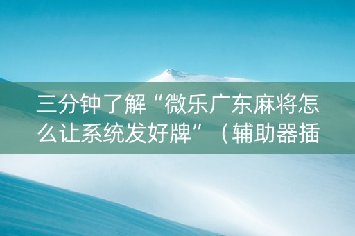三分钟了解“微乐广东麻将怎么让系统发好牌”（辅助器插件)