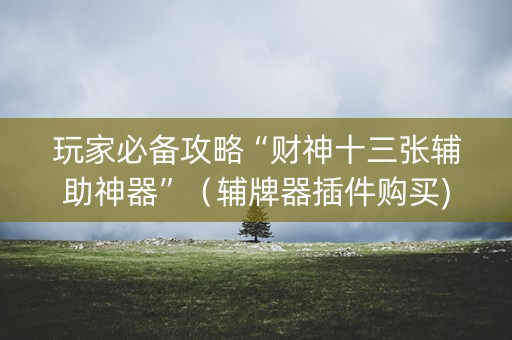 玩家必备攻略“财神十三张辅助神器”（辅牌器插件购买)
