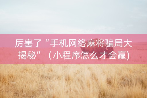 厉害了“手机网络麻将骗局大揭秘”（小程序怎么才会赢)