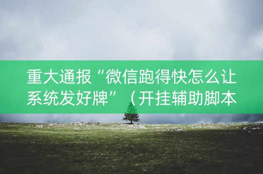 重大通报“微信跑得快怎么让系统发好牌”（开挂辅助脚本)