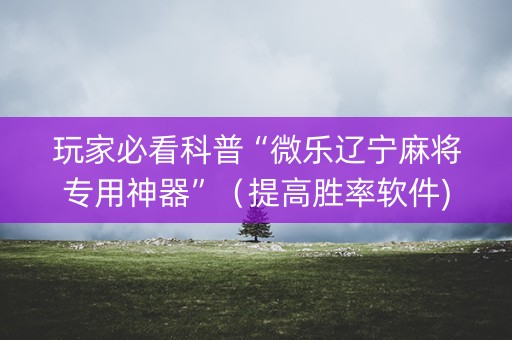 玩家必看科普“微乐辽宁麻将专用神器”（提高胜率软件)