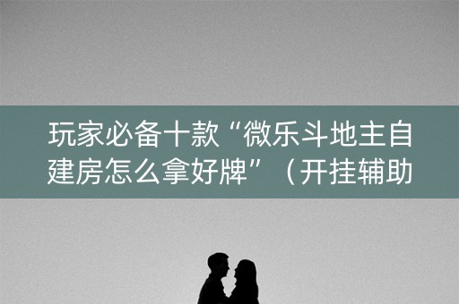 玩家必备十款“微乐斗地主自建房怎么拿好牌”（开挂辅助器插件)