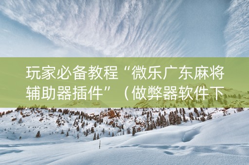 玩家必备教程“微乐广东麻将辅助器插件”（做弊器软件下载)