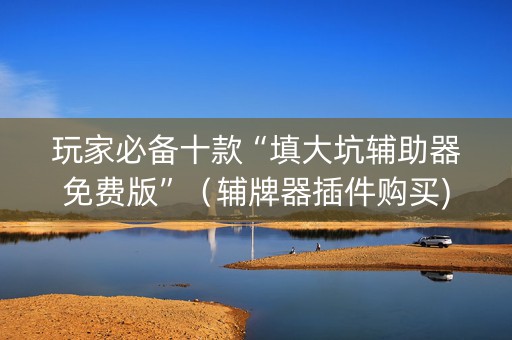 玩家必备十款“填大坑辅助器免费版”（辅牌器插件购买)