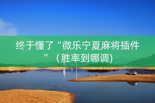 终于懂了“微乐宁夏麻将插件”（胜率到哪调)