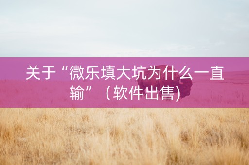 关于“微乐填大坑为什么一直输”（软件出售)