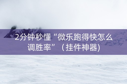 2分钟秒懂“微乐跑得快怎么调胜率”（挂件神器)