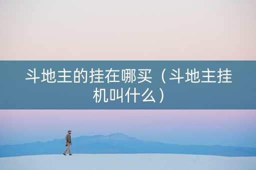 斗地主的挂在哪买（斗地主挂机叫什么）