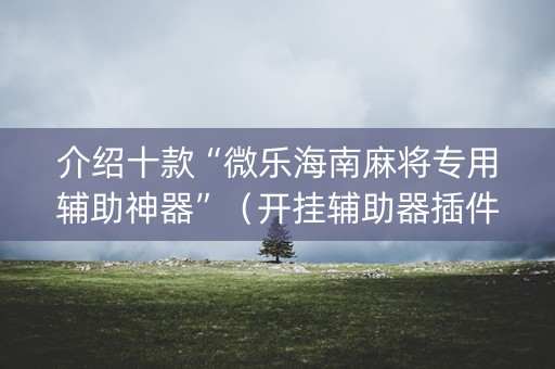 介绍十款“微乐海南麻将专用辅助神器”（开挂辅助器插件)