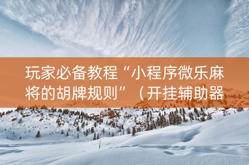 玩家必备教程“小程序微乐麻将的胡牌规则”（开挂辅助器脚本)