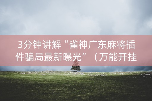 3分钟讲解“雀神广东麻将插件骗局最新曝光”（万能开挂器)