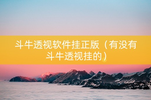 斗牛透视软件挂正版（有没有斗牛透视挂的）