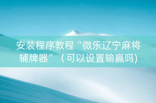 安装程序教程“微乐辽宁麻将辅牌器”（可以设置输赢吗)