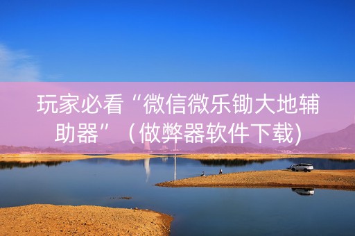 玩家必看“微信微乐锄大地辅助器”（做弊器软件下载)