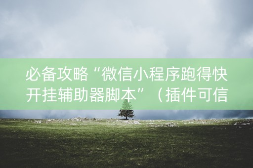 必备攻略“微信小程序跑得快开挂辅助器脚本”（插件可信吗)