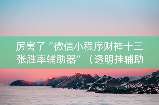 厉害了“微信小程序财神十三张胜率辅助器”（透明挂辅助器)