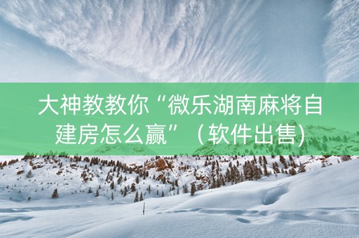 大神教教你“微乐湖南麻将自建房怎么赢”（软件出售)